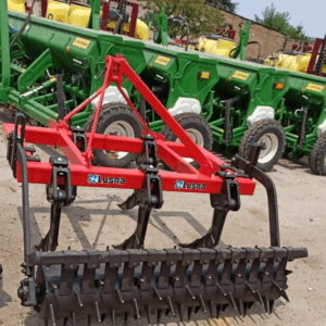 ÇİZEL RİPER (MƏRDANƏLİ)